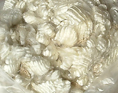 close up of white fleece